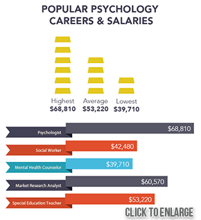 Market Research Analyst Salary and Job Market